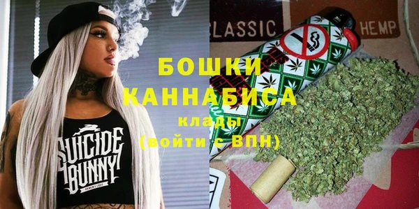 ECSTASY Болотное
