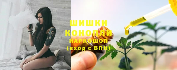 стаф Вязники