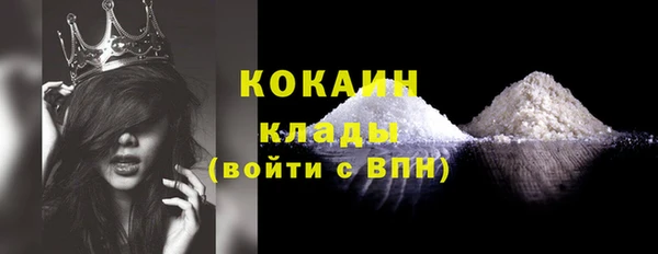 стаф Вязники