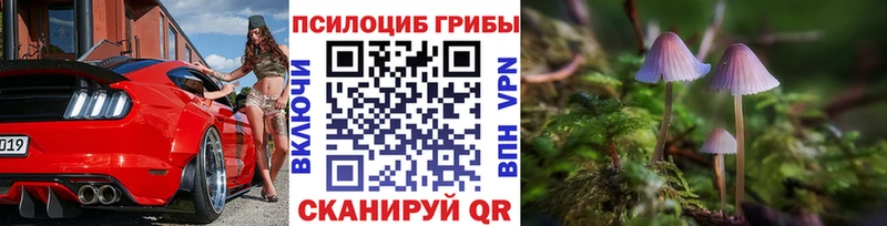 Псилоцибиновые грибы Psilocybe  Алдан 